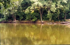 Kentucky River on Old Landing Road near lock 13