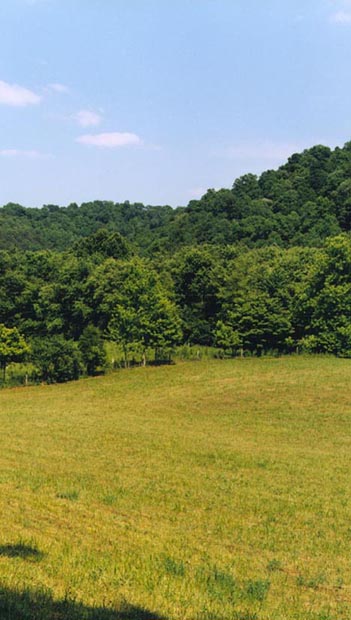 land for sale in kentucky acreage farms