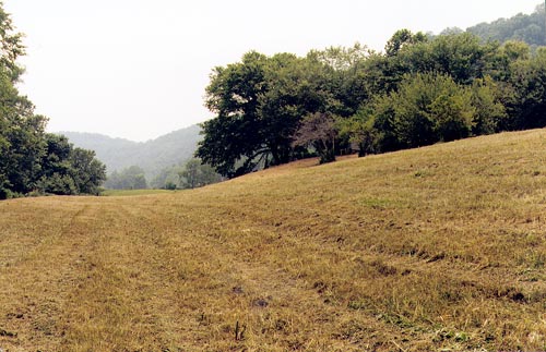 farm on kentucky river for sale looking up river from lower riverbottom