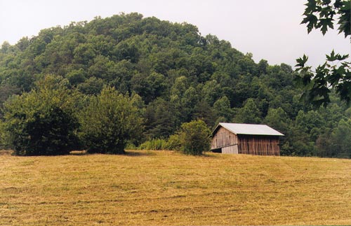 kentucky farms for sale view of barn on high river bottom