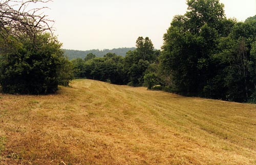 farm for sale on kentucky river lower riverbottom looking down river