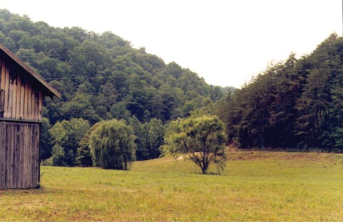 driveway to farm for sale in kentucky