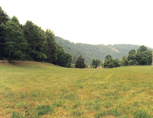 farm for sale on kentucky river looking down river