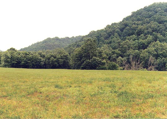 kentucky river on right farm land for sale