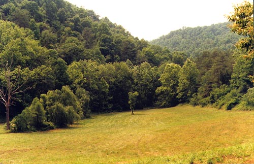 kentucky farms lower river bottom creek flows from hollow on right