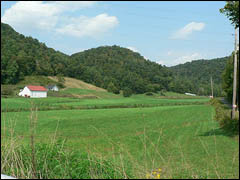 farm for sale in Kentucky, land, acreage