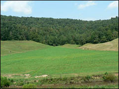 Kentucky farms for sale in Kentucky, land, acreage, lots